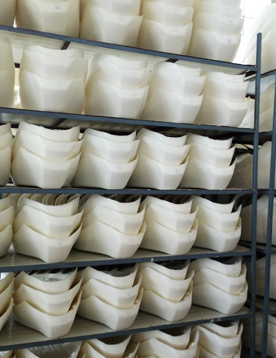 Two-Wheeler Seats Form